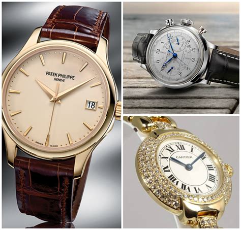 rolex viareggio